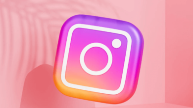 A Beginner’s Guide to Instagram Analytics: Track Your Success