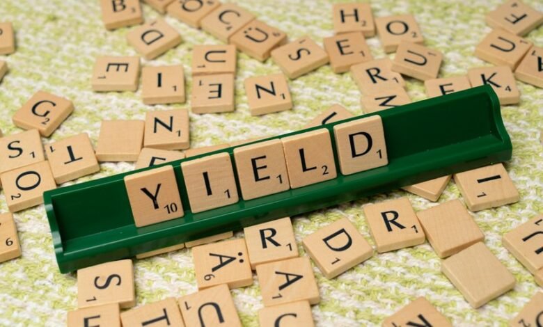 dividend yield fund investment