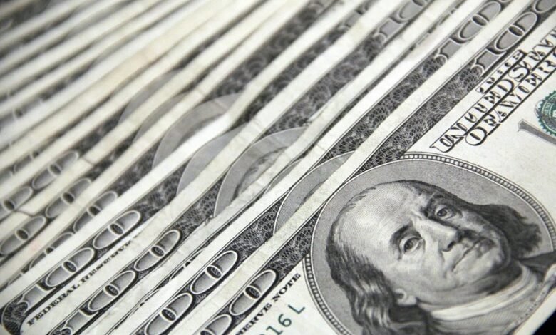 hsbc multi cap investment fund