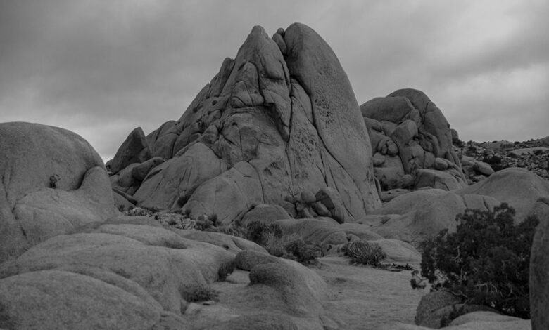 landscape art insights revealed