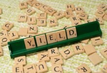 profitable investment portfolio strategies