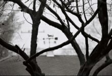 understanding landscape drawings